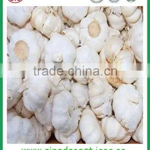 JNinxiang White Garlic in Mesh Bag or Carton thumbnail-4