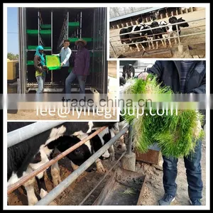 High Germination Rate Fodder Growing Machine thumbnail-1