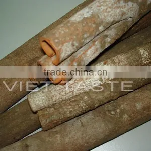 Vietnam Cassia Whole Tube High Quality thumbnail-2