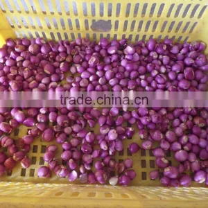Functional Good Effect Large Capacity Garlic Shallot Skin Removing Peeling Machine thumbnail-5