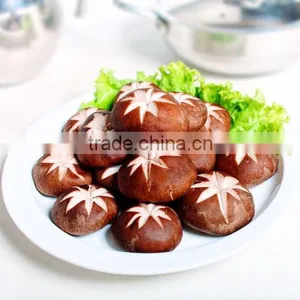 Bulk Package China Dried Shiitake Mushrooms thumbnail-1
