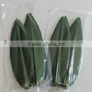 Fresh Bamboo Leaves Leaf thumbnail-1