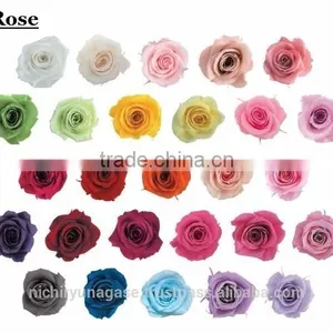 Pretty Hydrangea Preserved Flowers With Various Species thumbnail-3