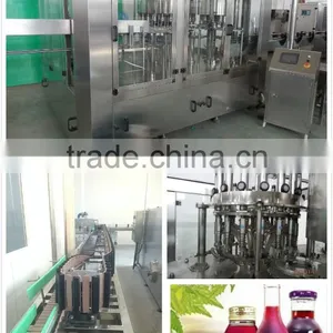 Hot Beverage Filling Machine/automatic High Speed Passion Fruit Juice Filling Machine thumbnail-1