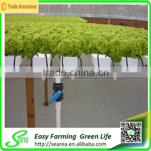 Hot Sale Greenhouse Hydroponic Culture Tray/system for Vegetables thumbnail-3