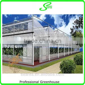 Multispan Tunnel Greenhouse for Strawberry Grape Raspberry , Agricultural Green Houses thumbnail-5