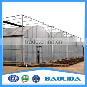 6m/8m/9/Arch Roof Greenhouse For Vegetables With Side Ventilation Covered By Plastic Film thumbnail-3
