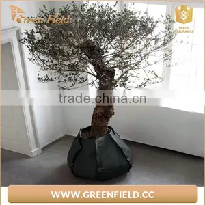High Quality Fabric Grow Bags,black Lantern Polyester Grow Bags thumbnail-1