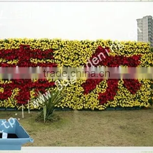 Garden Planter Wholesale Bonsai Pots Plastic Flowerpot thumbnail-2