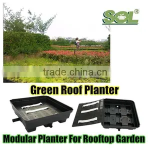 Green Roof China Manufacture SOL Company Hydroponic Growing Systems Vertical Green Roof Rooftop Garden Modular Planters thumbnail-2