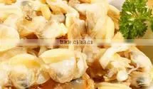 Yellow Clam thumbnail-1