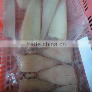 Quality Tuna Fish Frozen thumbnail-1