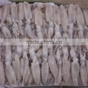 New Season Whole Round Frozen Baby Loligo Squid thumbnail-5