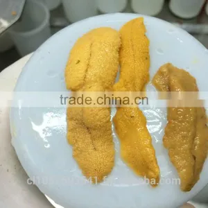 UNI Sea Urchin thumbnail-5