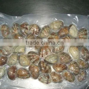 Vacuum Packing Boiled Clam thumbnail-1