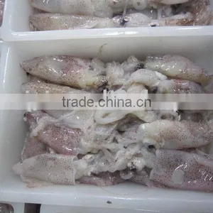 Frozen Squid (NEW) thumbnail-1