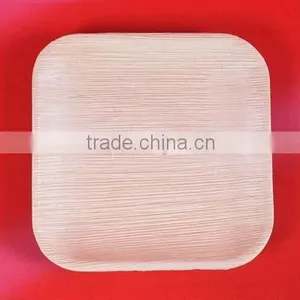 Biodegradable Tableware thumbnail-6