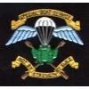 Pakistan British Military Badges, Us Military, German Badges thumbnail-1