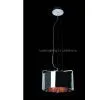 Modern Ceiling Lamp thumbnail-1