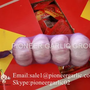 New Crop 4.5cm Normal White Fresh Garlic In 10 kg Box Packing thumbnail-1