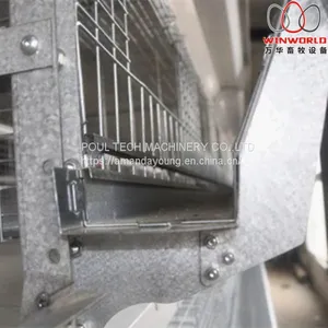 Seychelles Poultry Farming Equipment Battery Broiler Chicken Cage & Meat Chicken Cage & Chicken Coop in Poultry House thumbnail-1