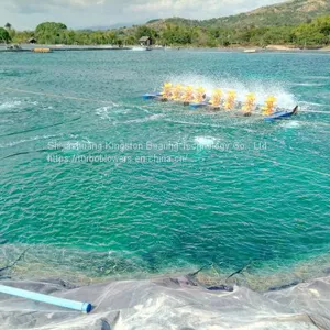 Turbo Blower ZCJSD for Shrimp Farm Aeration Aerator for CP Group Hatchery Farm thumbnail-4