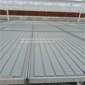 Greenhouse Flower Cultivation Vegetable Seedling Rice Seedling Seedling Bed Production Factory thumbnail-2
