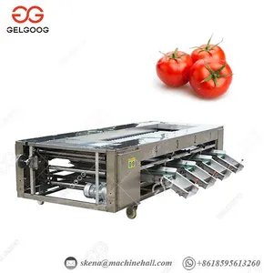 High Efficiency Small Capacity Blueberry Lychees Tomatoes Blueberries Date Palm Sorter Sorting Grading Machine thumbnail-4