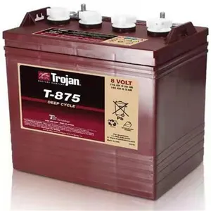 Qiu Jian Trojan Battery T-105 American Qiu Jian Battery 6V225AH Sightseeing Car T105 Floor Scrubber Battery thumbnail-1