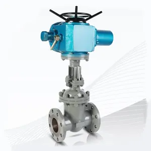 Manufacturer Direct Sales Electric Flange Gate Valve thumbnail-1