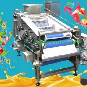 Belt Press Juicer for Apple Pineapple Sugarcane Orange6 thumbnail-6
