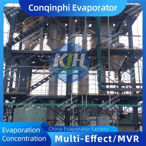 1 Year Warranty Vacuum Evaporator-Crystallizer With On-Site Commissioning and Training thumbnail-3
