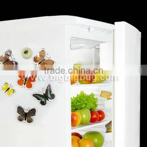Crystal Real Butterfly Fridge Magnet, Hot Sale 2013 thumbnail-1