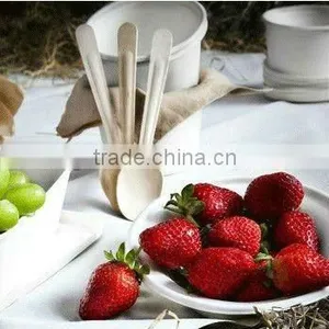 Fancy 100% Biodegradable Bagasse 12oz Catering Bowl thumbnail-1