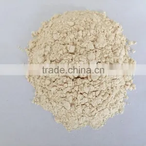 HACCP /ISO/FDA Approved High Quality Dehydrated Garlic Powder for USA/EU Market thumbnail-1