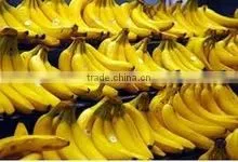 BANANAS thumbnail-1