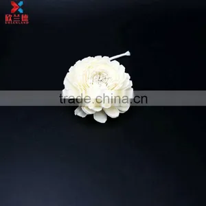 2015 New Design Beautiful and Decorative Sola Flower Reed Diffuser Flower thumbnail-1