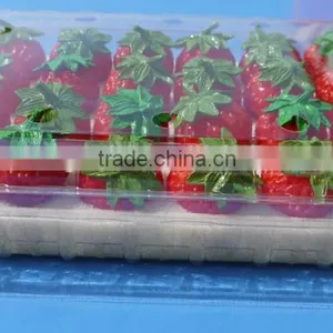 Punnet Clamshell Blister Plastic Packaging Container 500 Gram thumbnail-4