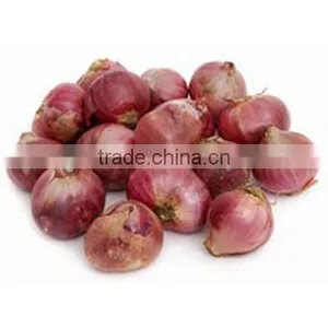 Organic Fresh Red Onions thumbnail-1