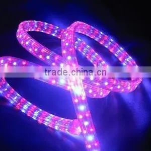 Best Price! (2 Wires Round),36pcs Led/m Led Rope Light thumbnail-1