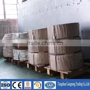 2015 Low Price Galvanized Steel Strip New Products thumbnail-1