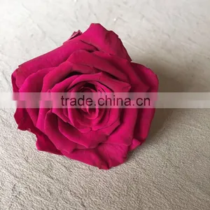 Wholesale Real Natural Preserved Roses Everasting Roses Preserve Flower thumbnail-3