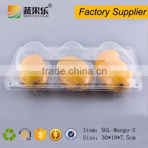 Transparent PET Plastic 3 Mango Box and Tray thumbnail-4