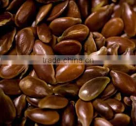 Flax Seed Extract 10:1 thumbnail-2