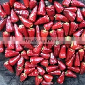 Hot Bullet Chilli , Dry Bullet Chilli 4-7cm thumbnail-1