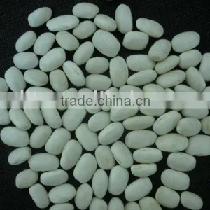 White Kidney Beans thumbnail-1