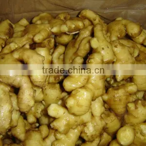 Price of Fresh Ginger in China thumbnail-1