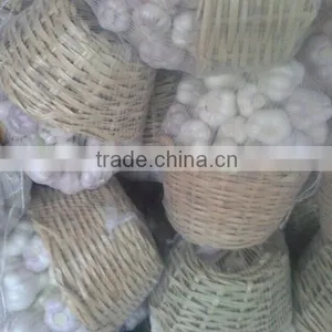 Red Garlic thumbnail-5