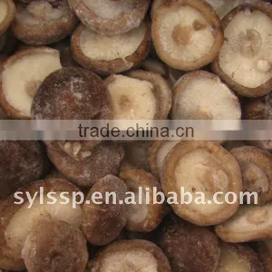 IQF Fresh Shiitake thumbnail-1