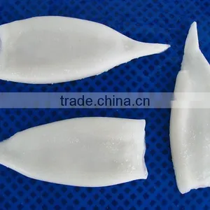 Frozen Squid Tube Fish U5 thumbnail-2